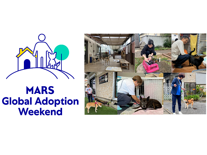 Global Adoption Weekend HERO_20251010